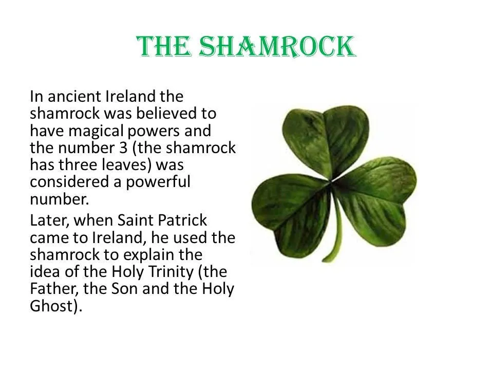 Elegant Shamrock Earrings