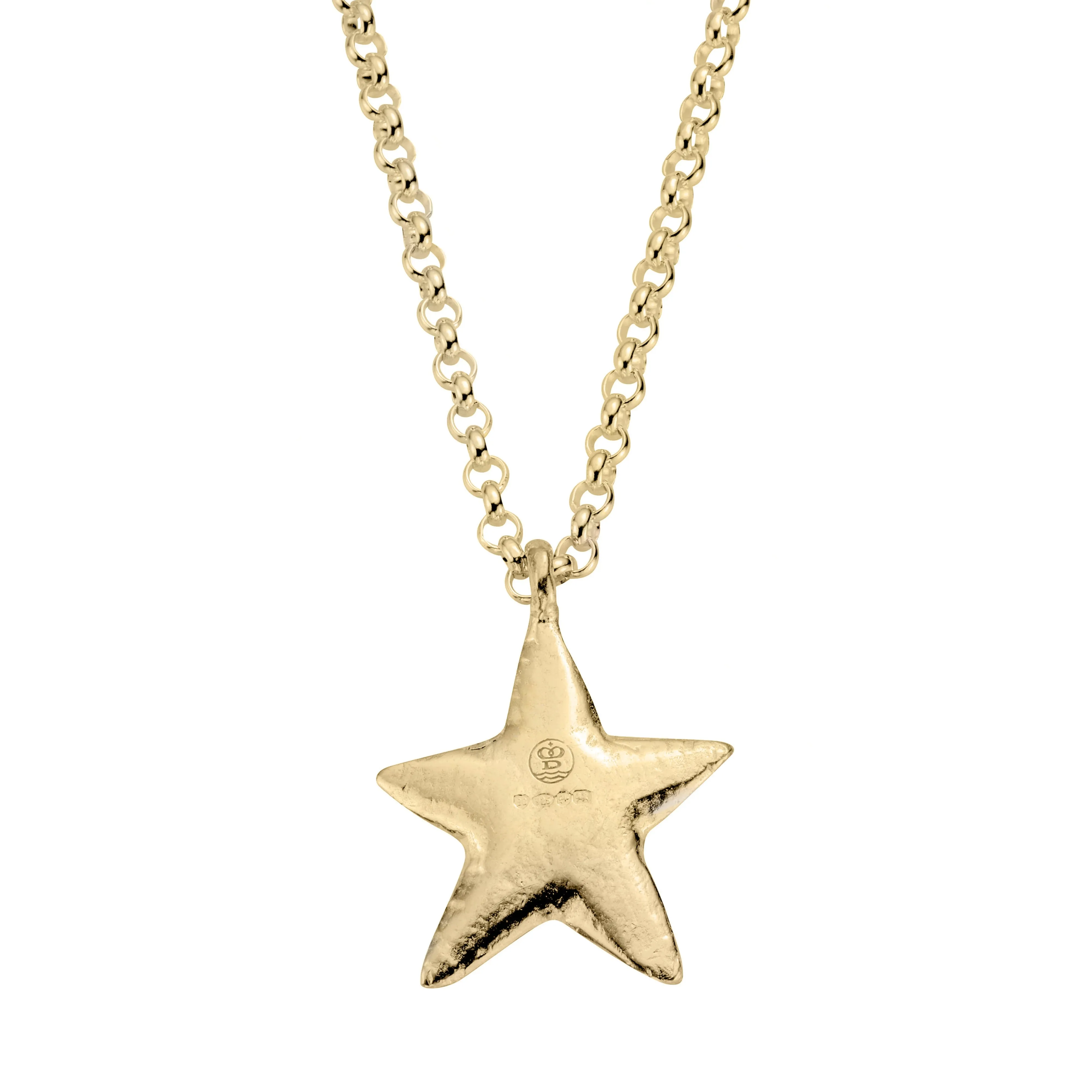 Gold Maxi Star Necklace with Paw Print