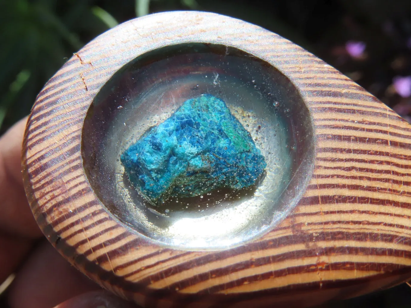 Polished Unique Zebra Wood Hand Made Pendants with Shattuckite - Sold per piece From South Africa