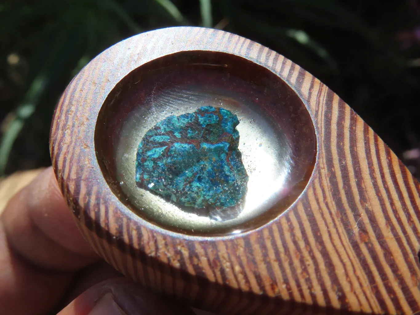 Polished Unique Zebra Wood Hand Made Pendants with Shattuckite - Sold per piece From South Africa