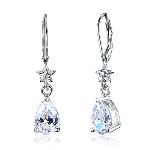 Stylish Elegant Dangle Silver Earrings