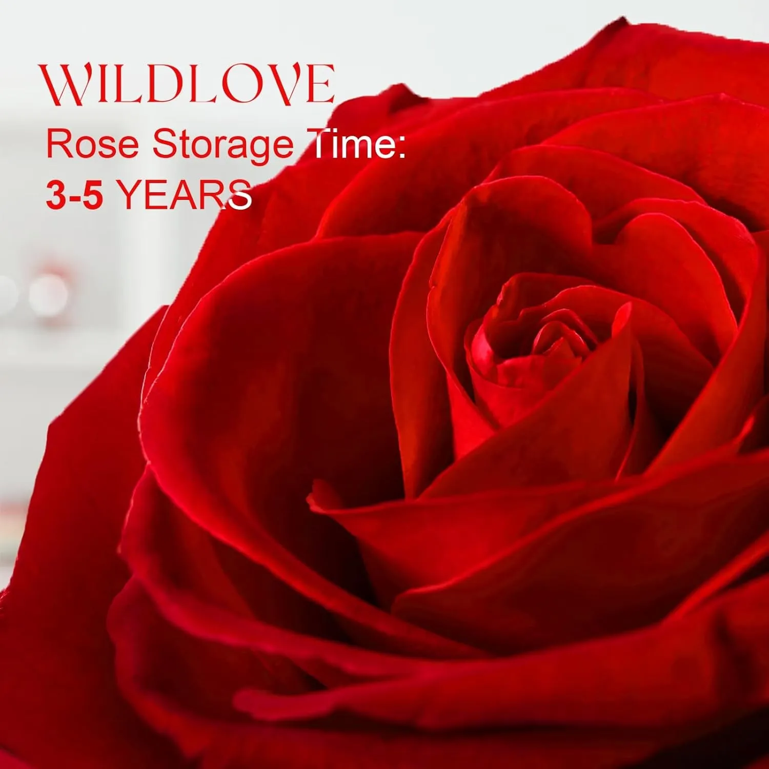 Surprise the special women in your life this Mother's Day with a beautiful preserved rose and an "I Love You" necklace – a timeless gift of love!