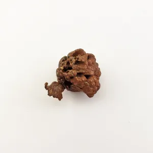 Unique Native Copper Nugget Formation Natural Gemstone | 1.5 oz | Dandelion