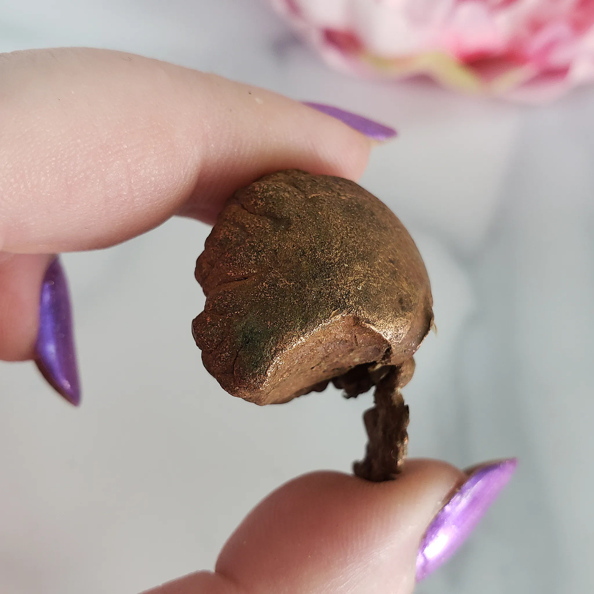 Unique Native Copper Nugget Formation Natural Gemstone | 1.5 oz | Dandelion