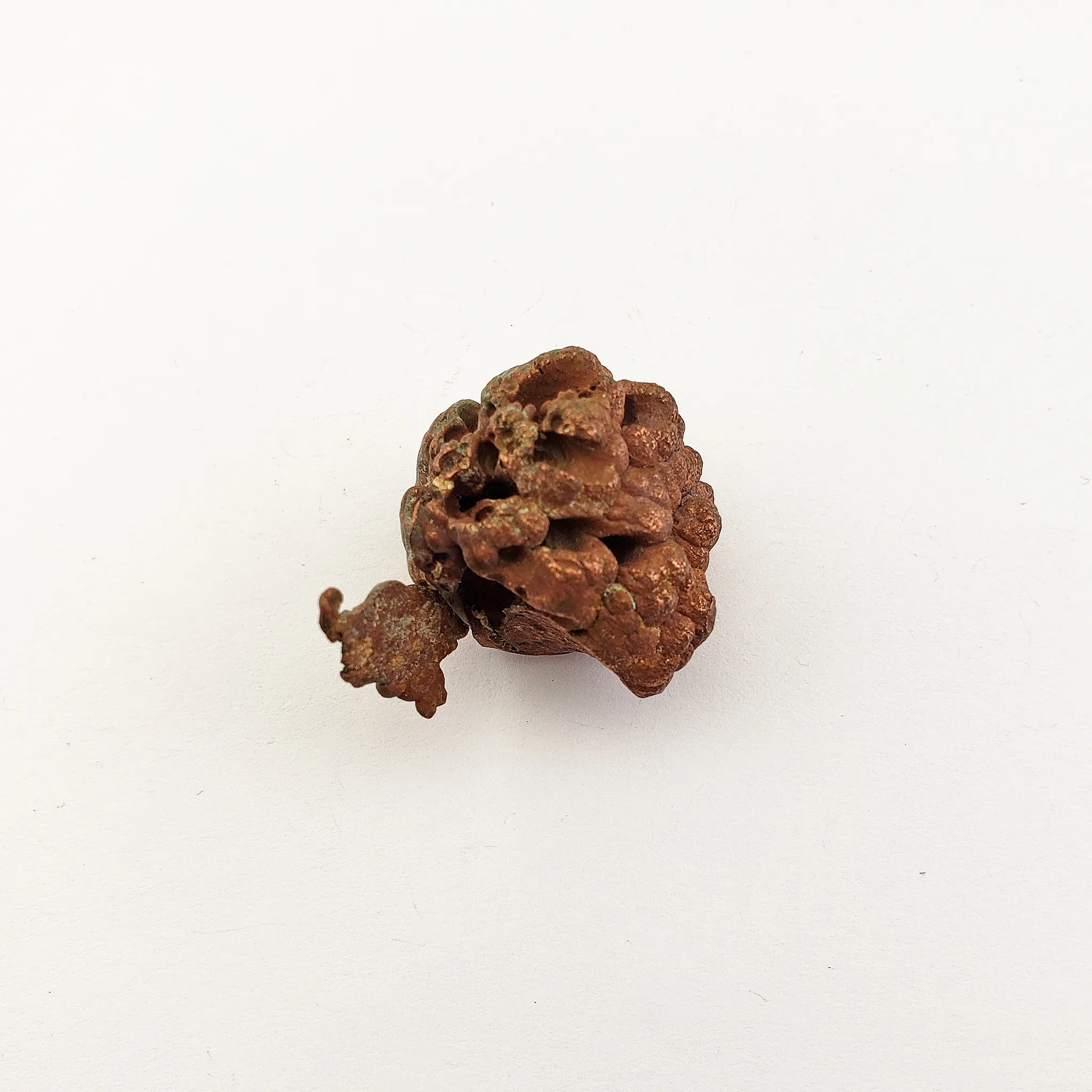 Unique Native Copper Nugget Formation Natural Gemstone | 1.5 oz | Dandelion
